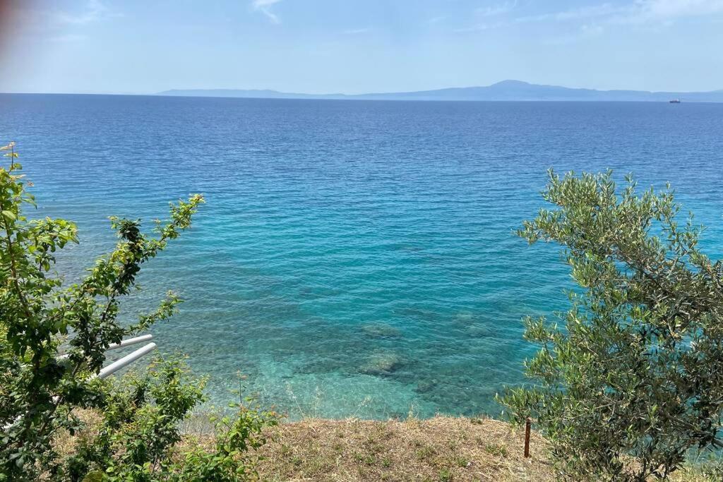 Difan Sea Homes A3
